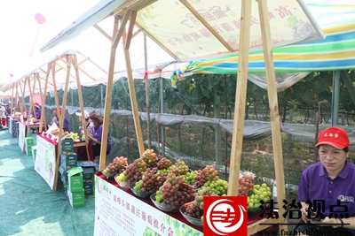 第二届葡萄节 041.JPG