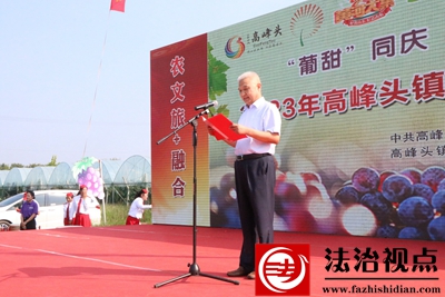 第二届葡萄节 070.JPG