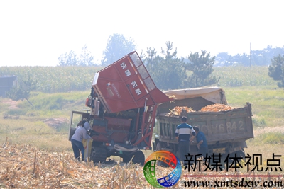 山地玉米 031.JPG