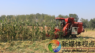 山地玉米 059.JPG