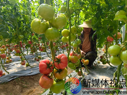 微信图片_20250321111558.jpg