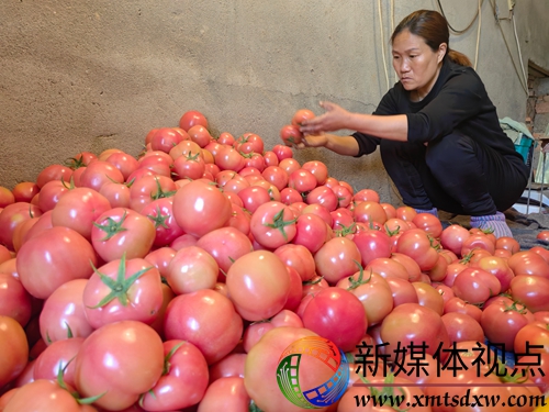 微信图片_20250321111527.jpg