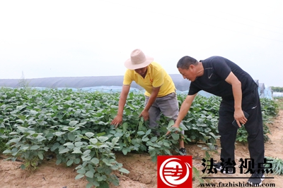 爱国村归雁 049.JPG