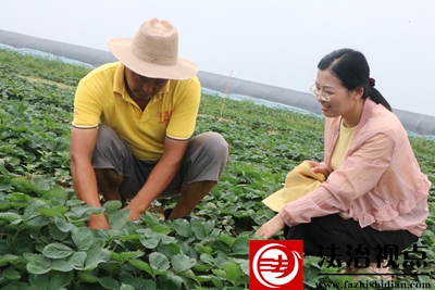 爱国村归雁 058.JPG