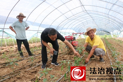 爱国村归雁 041.JPG