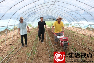 爱国村归雁 037.JPG