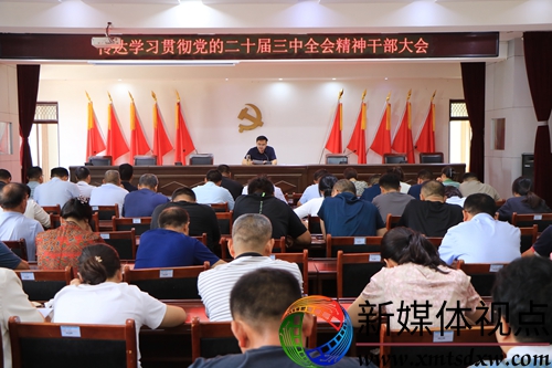二十届三中全会干部大会 (2).JPG