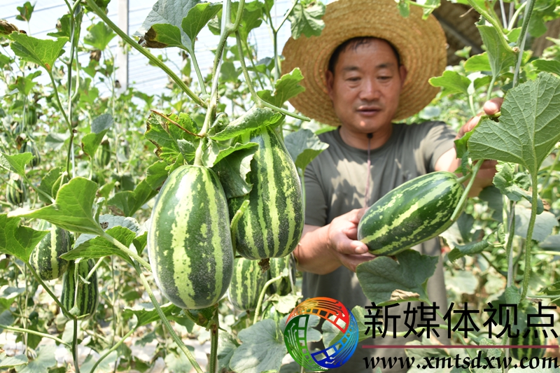 微信图片_20250507081728.jpg